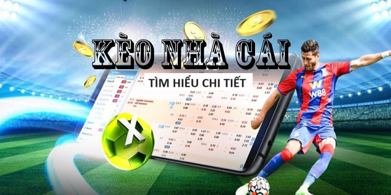 Tặng tiền trải nghiệm App Game BOCVIP club